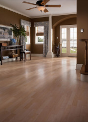 Michigan fiberglass laminate flooring and windows